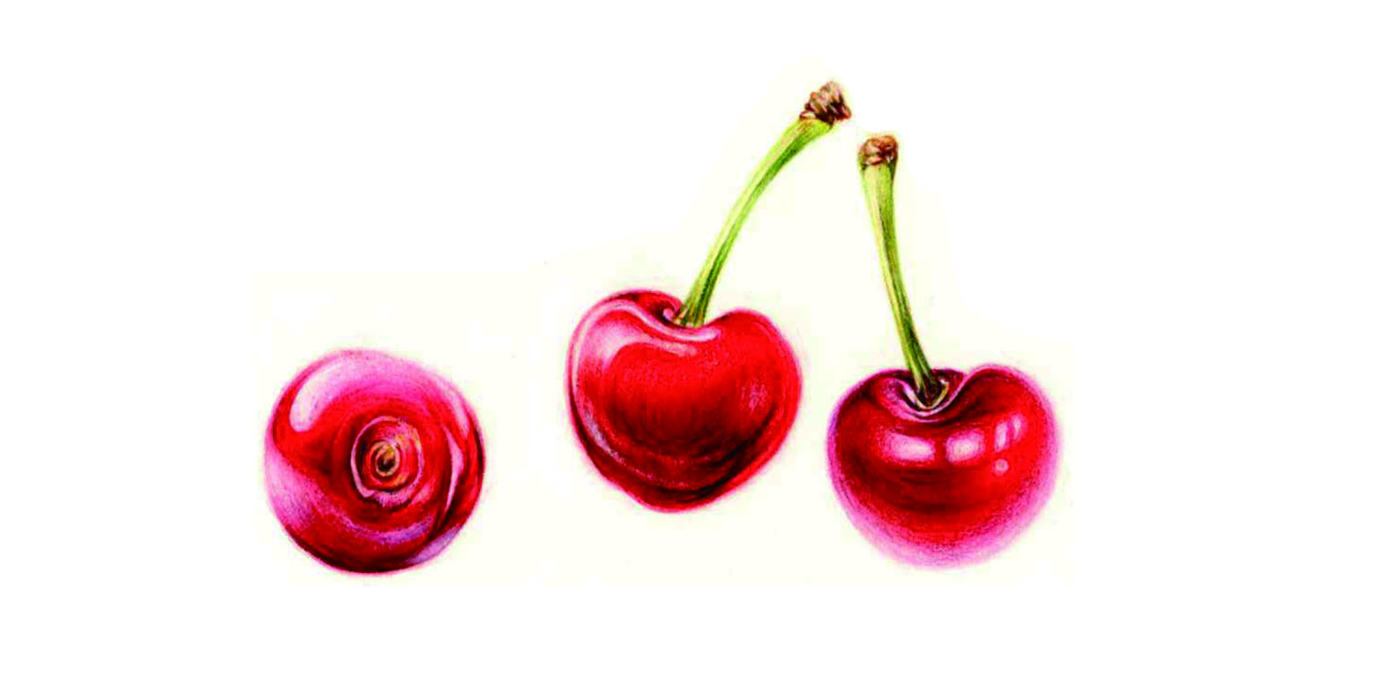 [겨울정규 10주] 보태니컬 미술(수) (성인반)